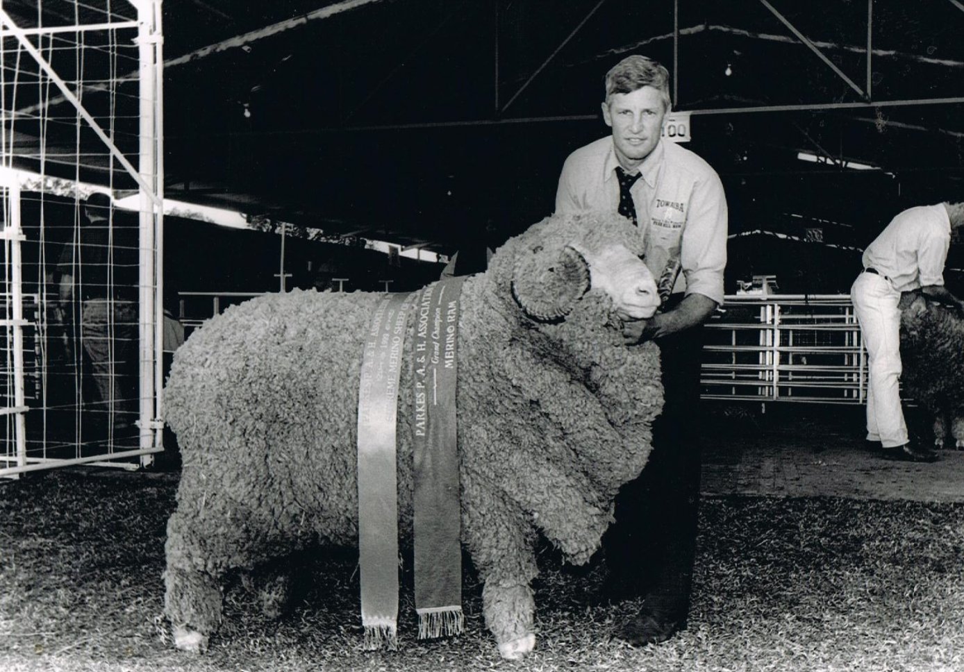 Warick with the 1999 Supreme Merino Exhibit at the Parkes Show.